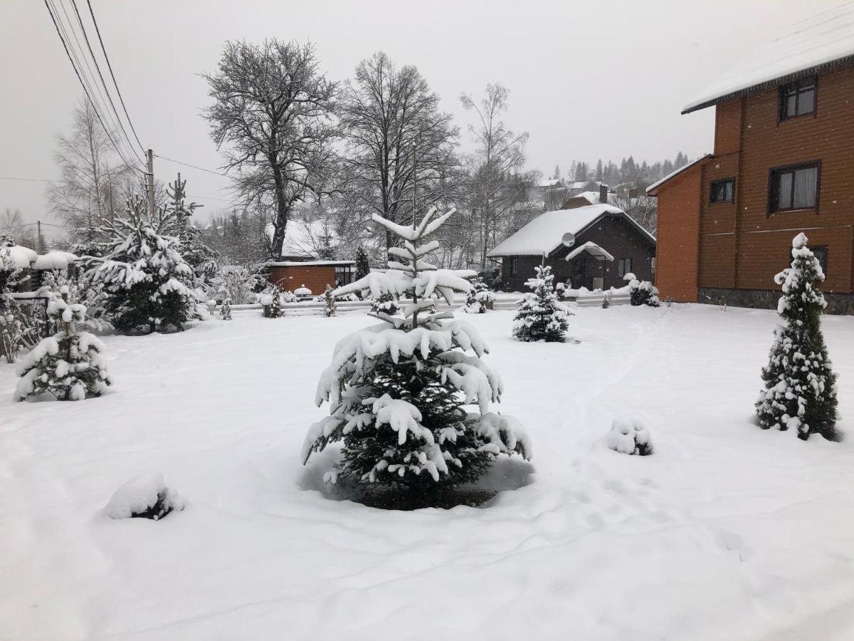 Краєвид Slavske Bagian luar foto